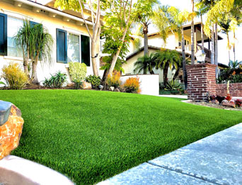 The Turf Edge